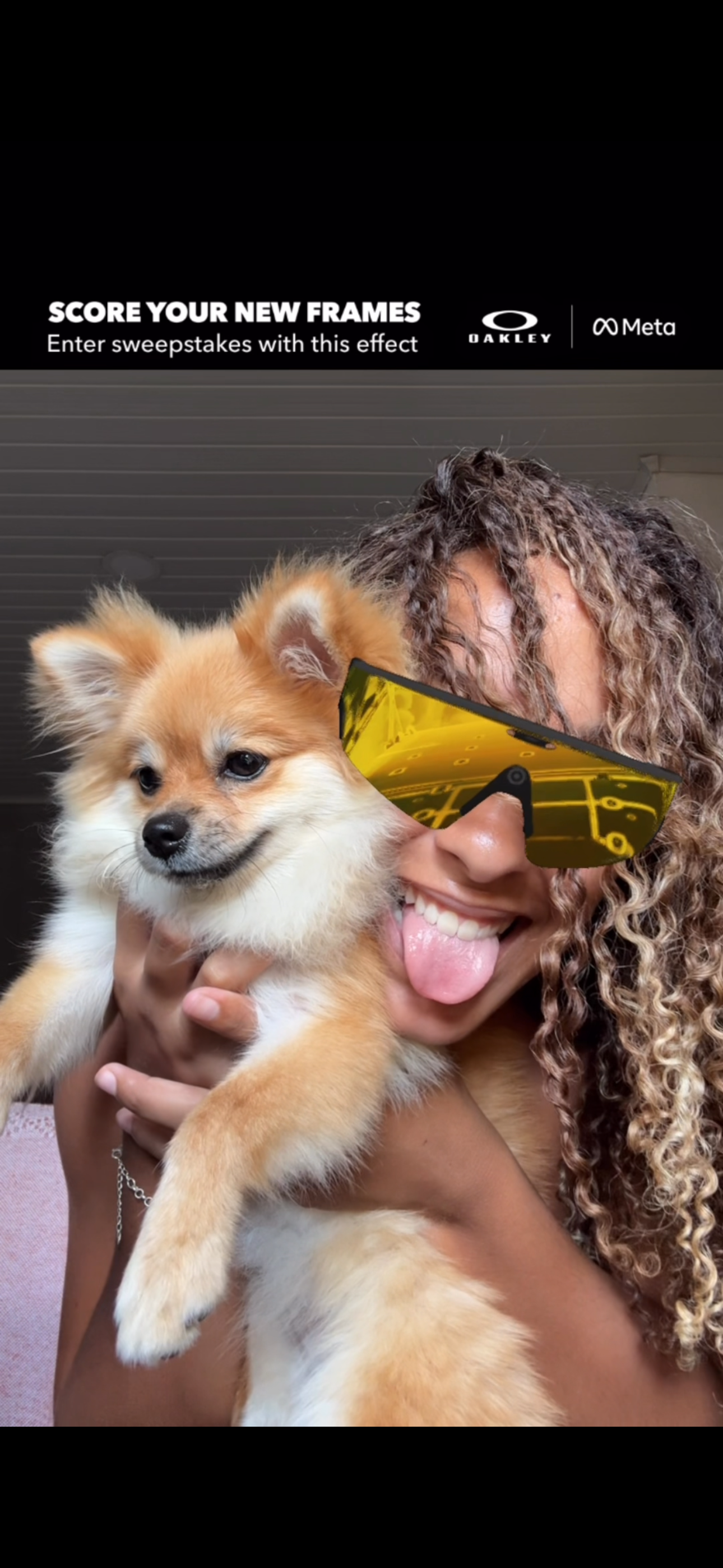 SPITZ ALEMÃO  - Foto 1