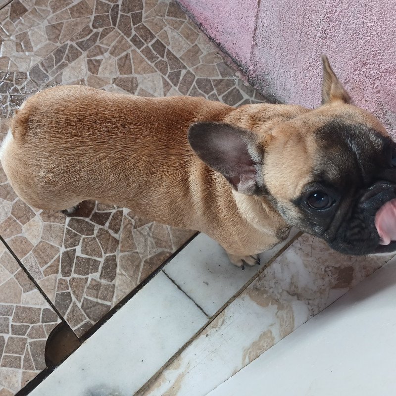Vende-se - Foto 3