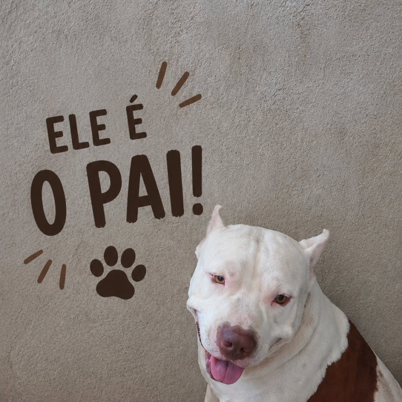 Filhotes de pit bull - Foto 1