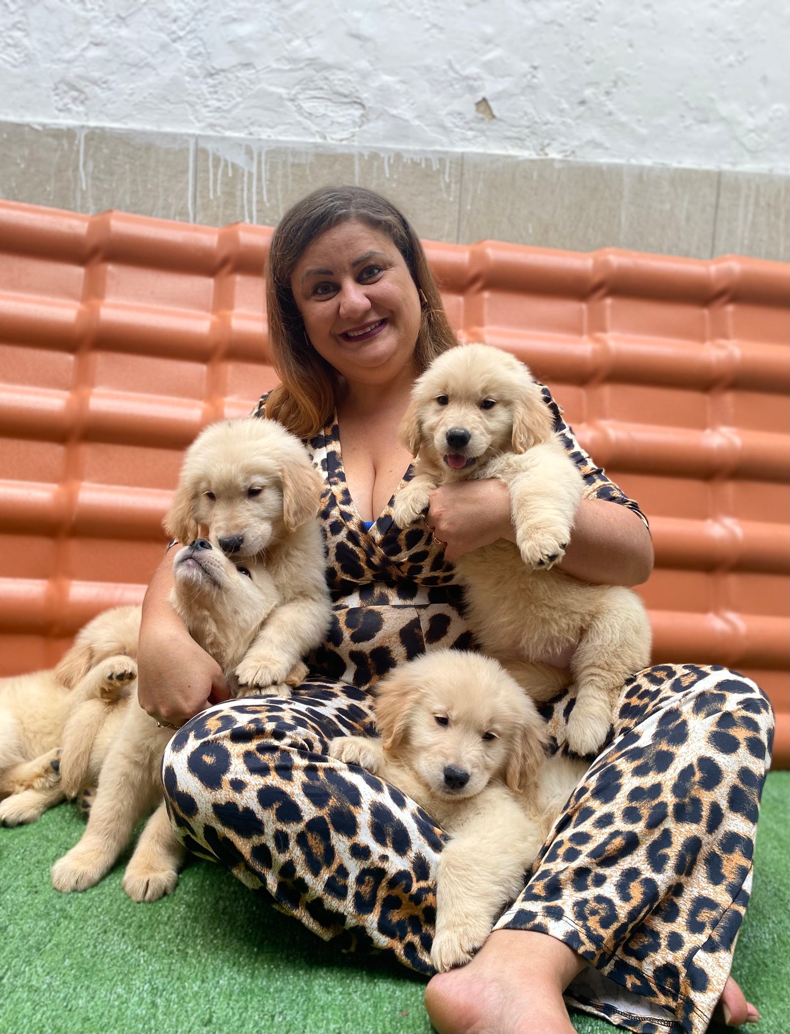 Golden retriever - Foto 1