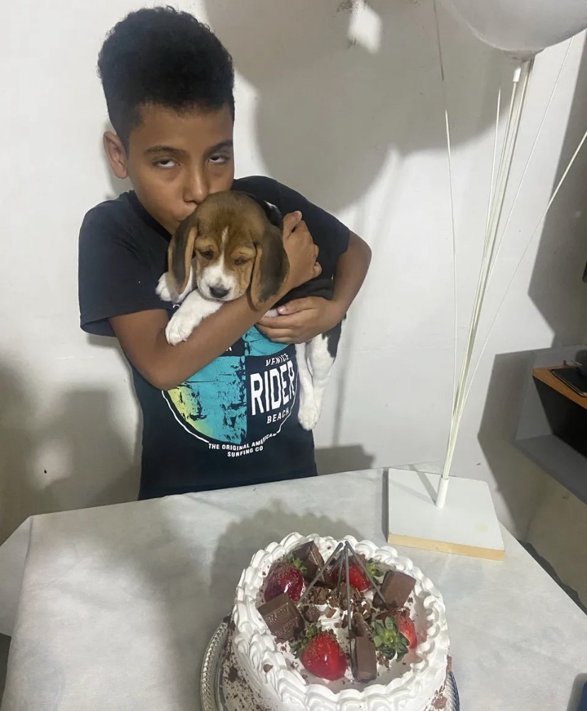 BEAGLE TRICOLOR FILHOTE - Foto 3