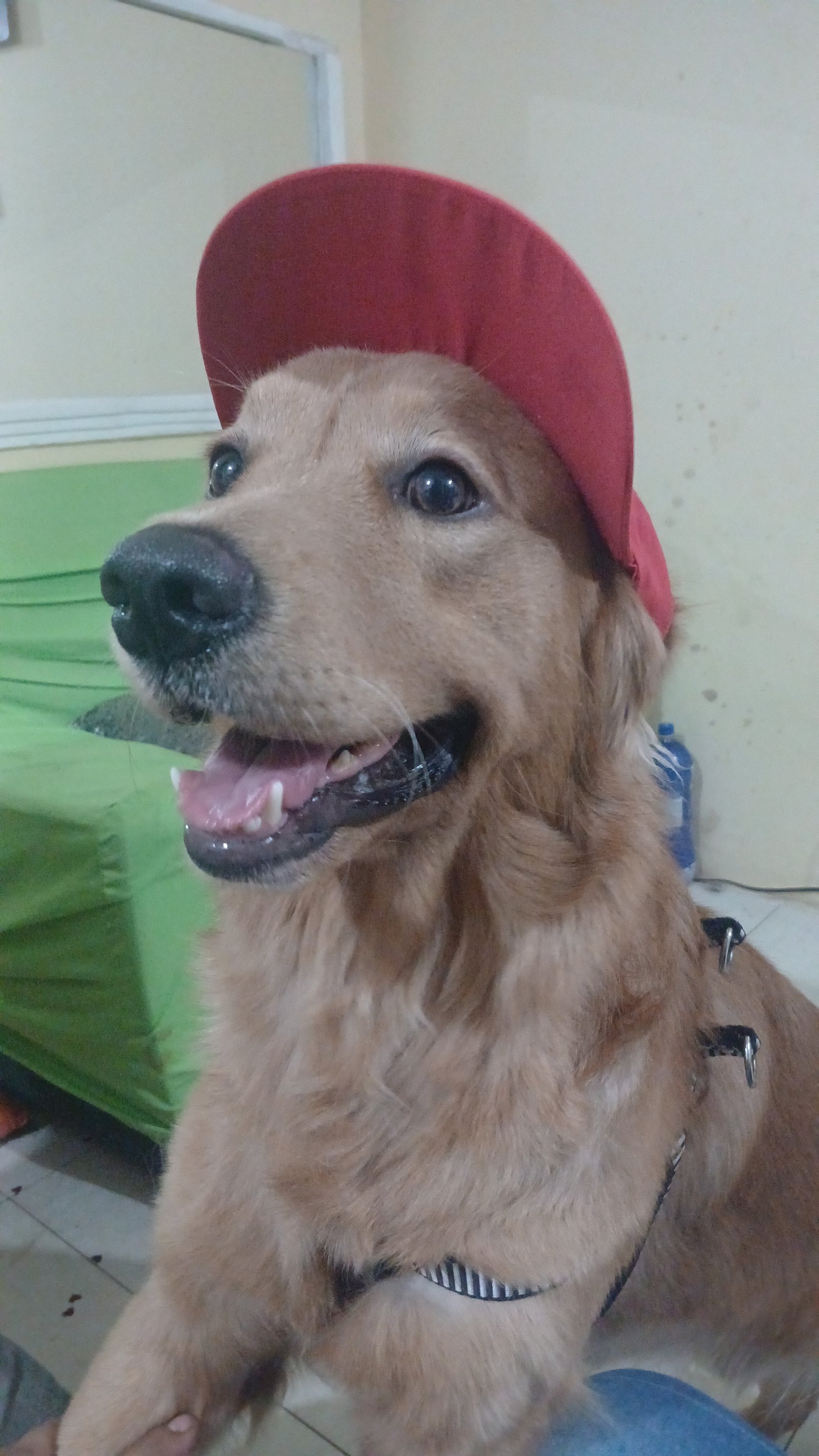Vendo pq to sem tempo  - Foto 1