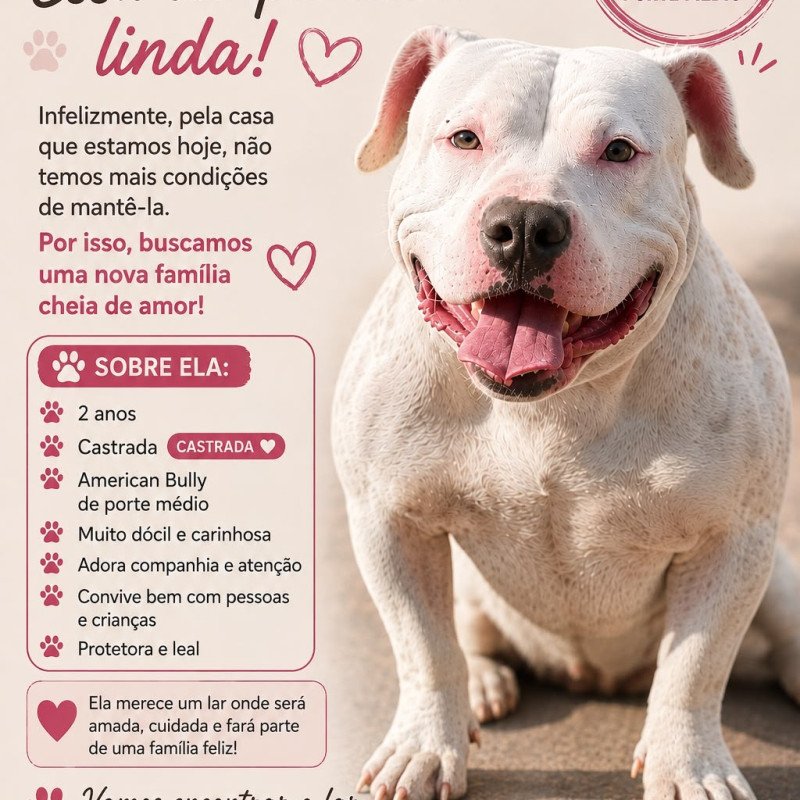 Américan Bully filhote - Foto 1