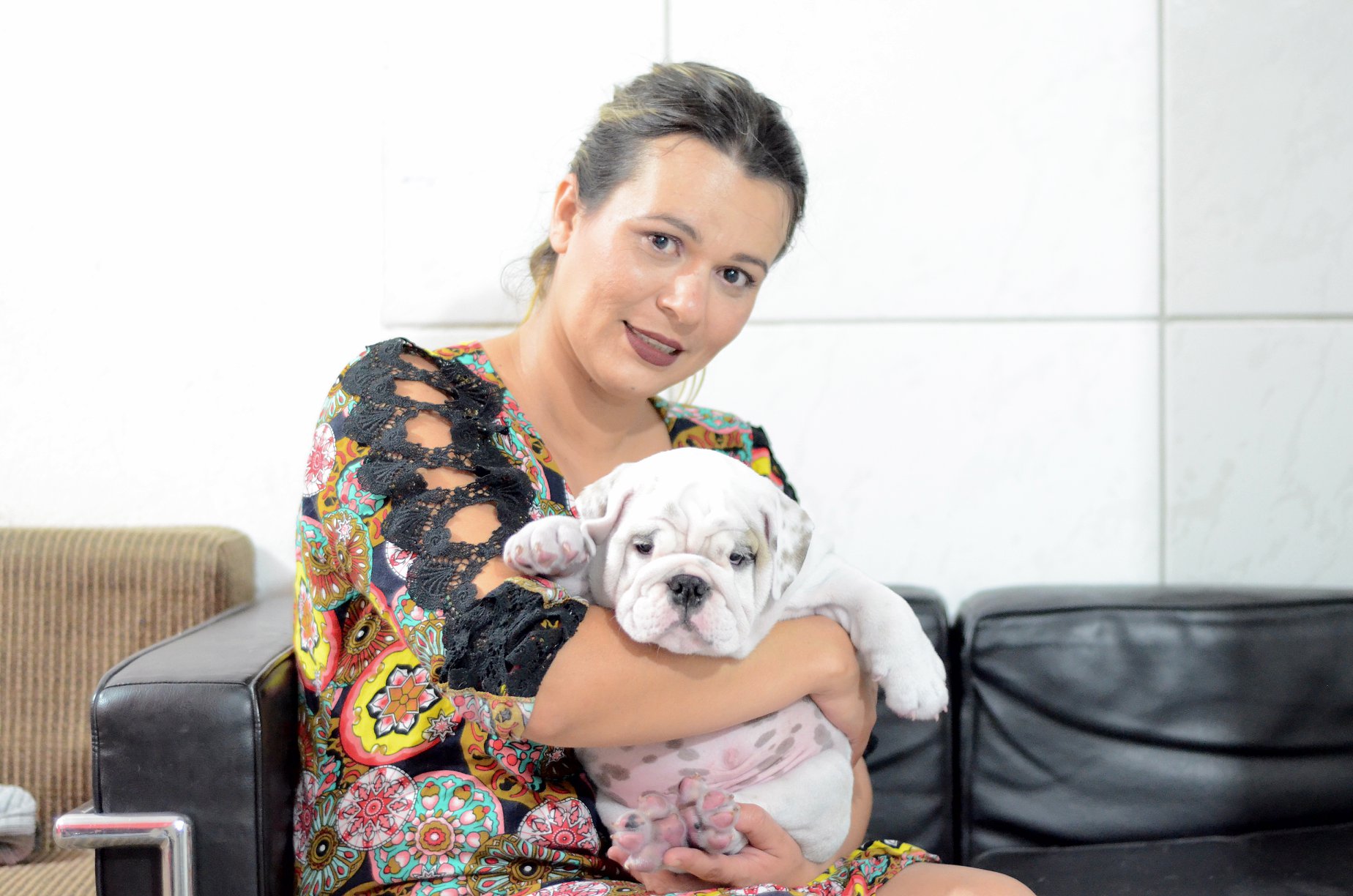 Bulldogue inglês filhotes - Foto 2