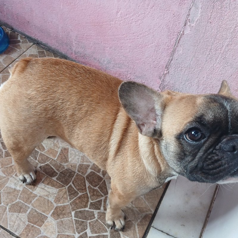 Vende-se - Foto 1