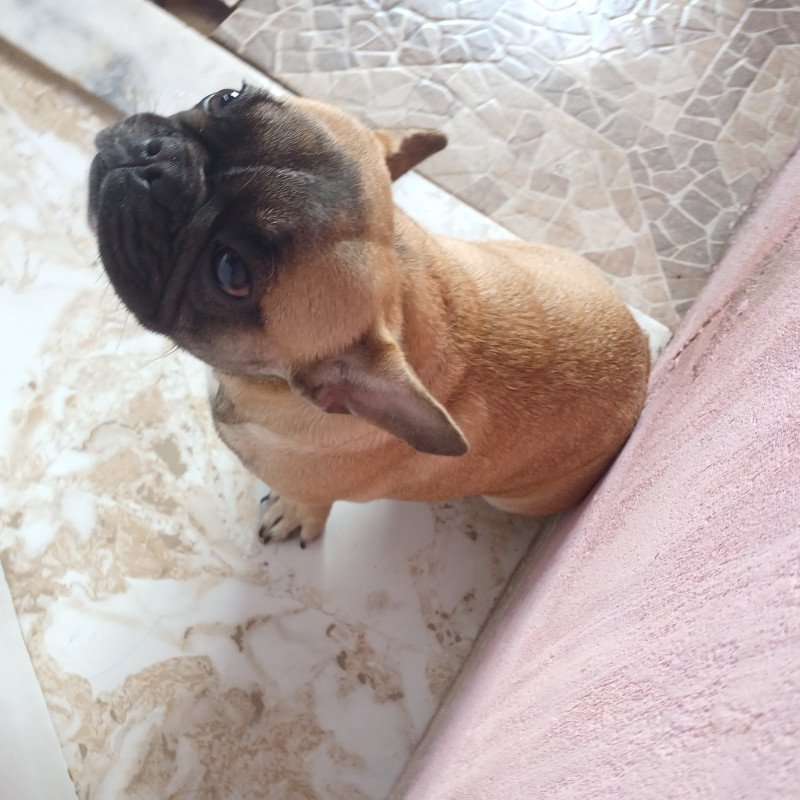 Vende-se - Foto 2