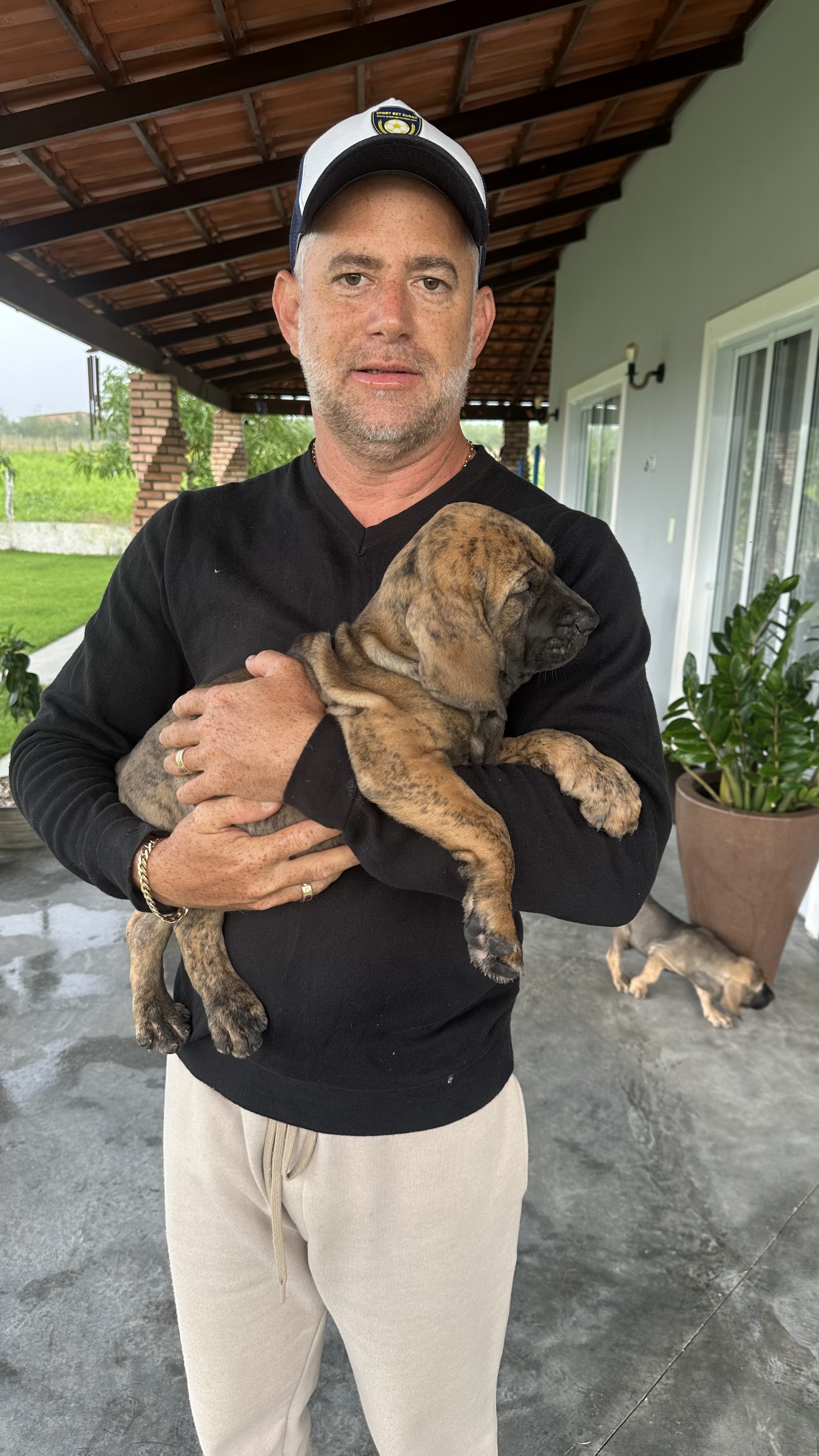 FILHOTES DE FILA BRASILEIRO PURO SANGUE – DISPONÍVEL!!!   - Foto 4