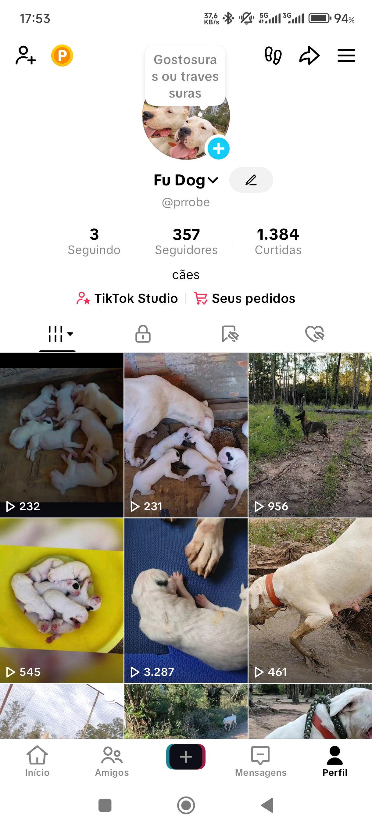 Dogo Argentino  - Foto 2