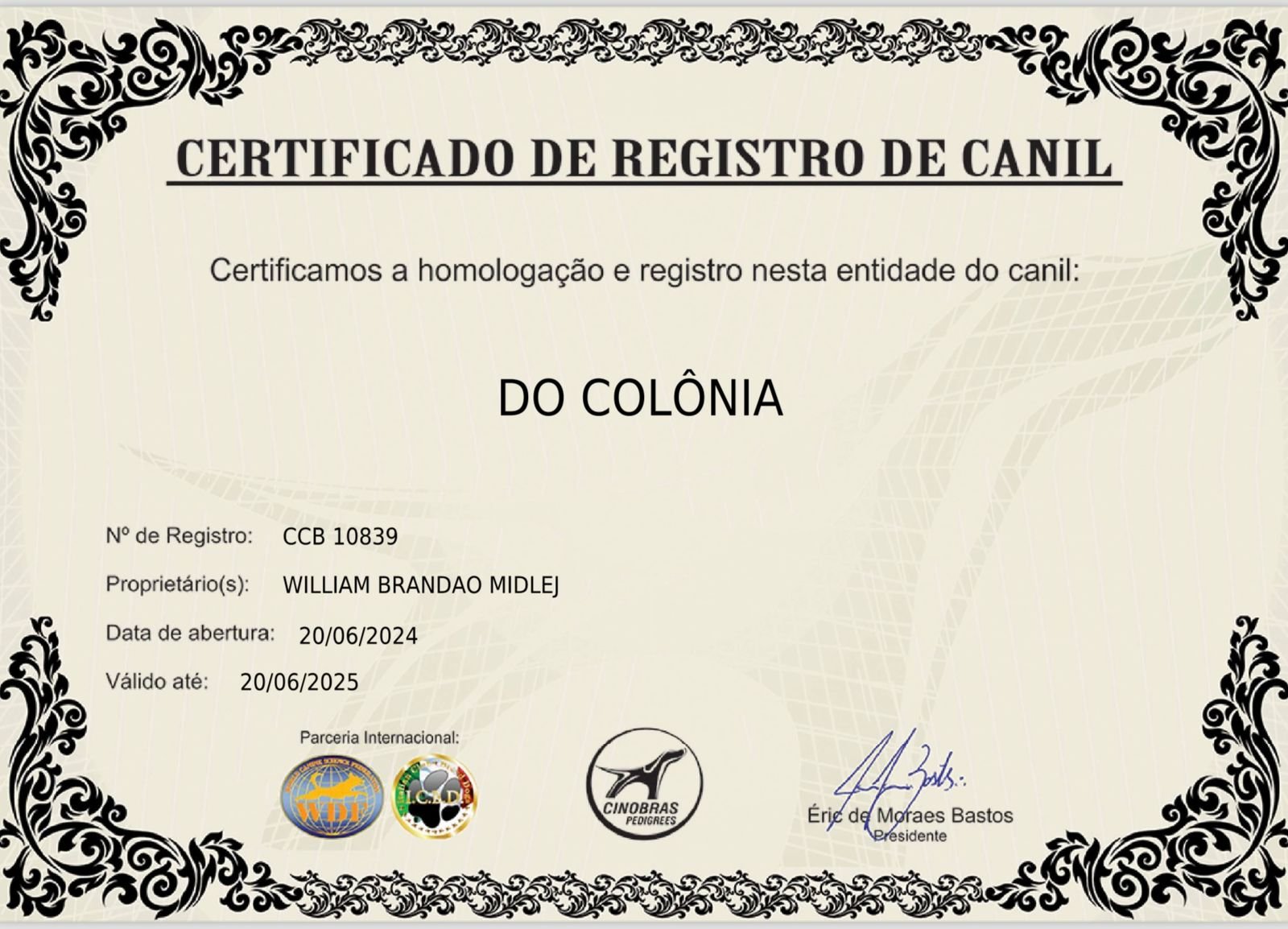 FILHOTES BORDER COLLIE COM PEDIGREE  - Foto 4